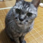 Thumbnail of post image 183