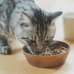 Thumbnail of post image 001