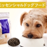 Thumbnail of post image 019